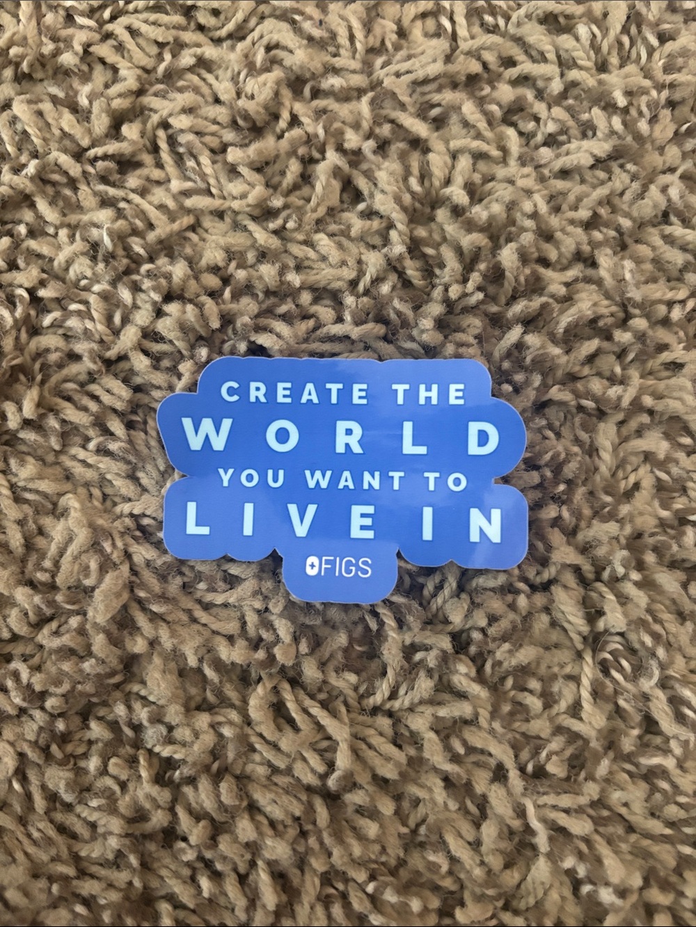 FIGS Sticker - "Create The World You Want To Live In"